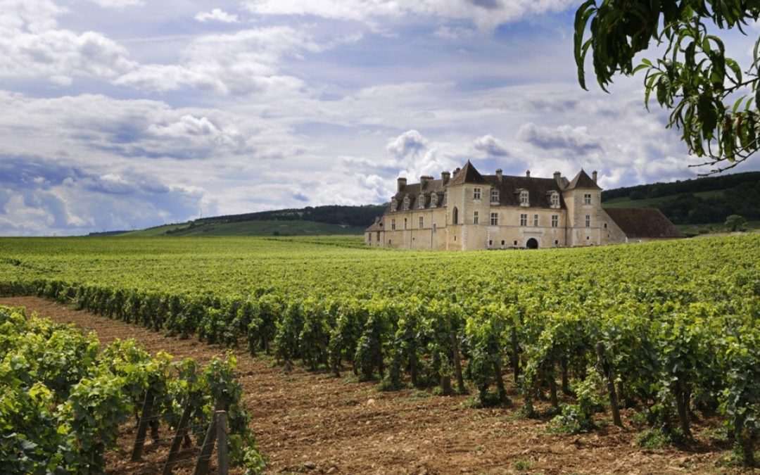 Clos de Vougeot