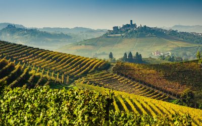 Barolo & Barbera Grand Cru Tour 2021