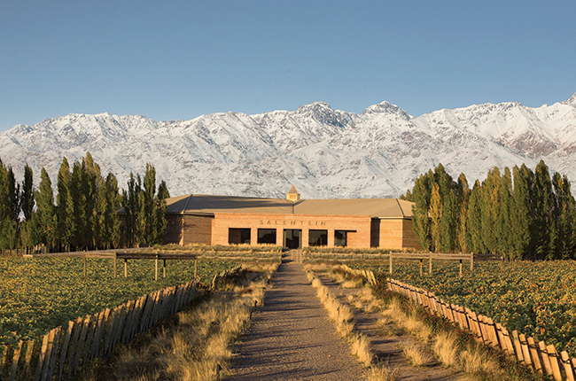 I Grandi Vini Argentini di Bodega Salentein